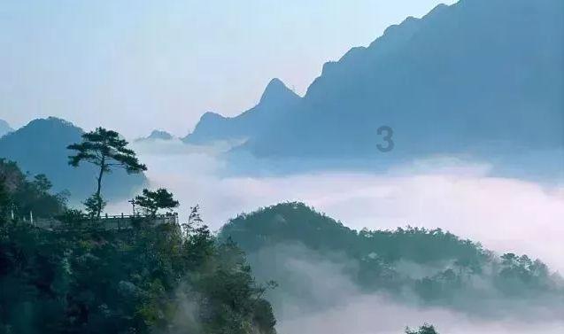 山东省属企业主要财务指标排名全国前列